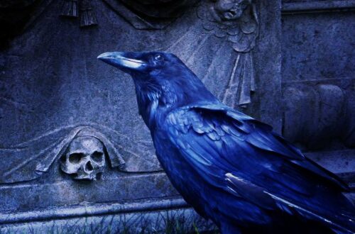 Dark Fantasy Raven