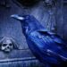 Dark Fantasy Raven